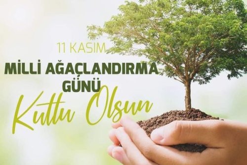 11 Kasım Milli Ağaçlandırma Günü Kutlu Olsun.