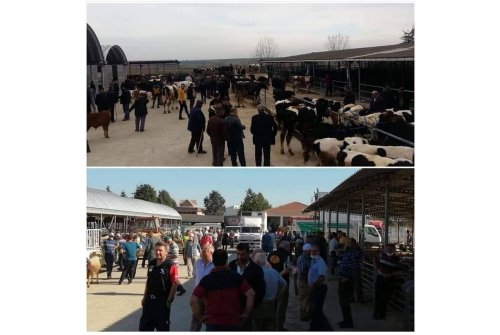 17 Nisan 2024 Tarihinden İtibaren Çarşamba Günleri Kurulan Büyükbaş Ve Cuma Günleri Kurulan Küçükbaş Hayvan Pazarlarımızın Açılış Saatleri 07:00 Olarak Değiştirilmiştir.