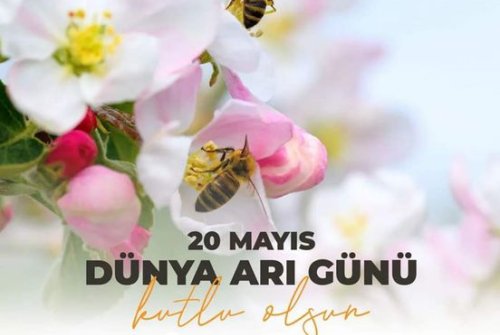 20 Mayıs Dünya Arı Günü Kutlu Olsun.