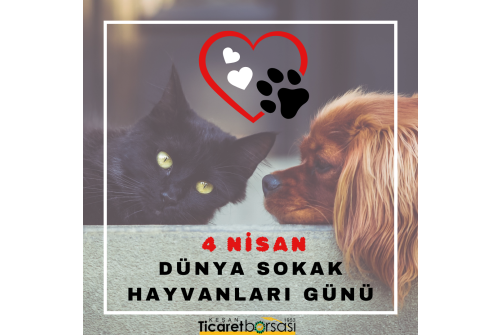 4 Nisan Dünya Sokak Hayvanları Günü Kutlu Olsun.