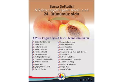 Avrupa Birliği’nden Coğrafi İşaret Tescili Alan 24. Ürünümüz Bursa Şeftalisi Oldu.