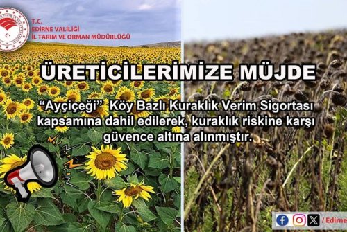 Ayçiçeği” Köy Bazlı Kuraklık Verim Sigortası Kapsamına Dahil Edilerek, Kuraklık Riskine Karşı Güvence Altına Alınmıştır.