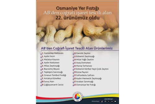 Osmaniye Yer Fıstığı Avrupa Birliği’nden Coğrafi İşaret Tescili Alan 22. Ürünümüz Oldu.