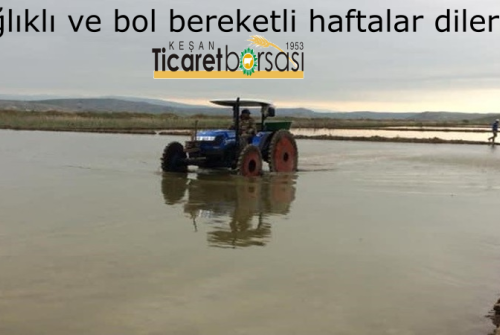 Sağlıklı Ve Bol Bereketli Haftalar Dileriz.