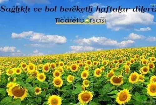 Sağlıklı Ve Bol Bereketli Haftalar Dileriz.