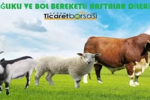 Sağlıklı Ve Bol Bereketli Haftalar Dileriz.