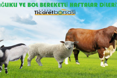 Sağlıklı Ve Bol Bereketli Haftalar Dileriz