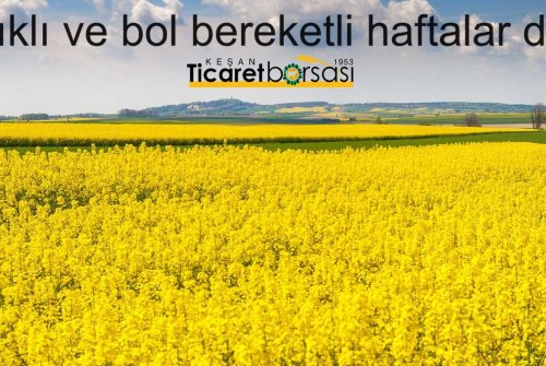 Sağlıklı Ve Bol Bereketli Haftalar Dileriz.